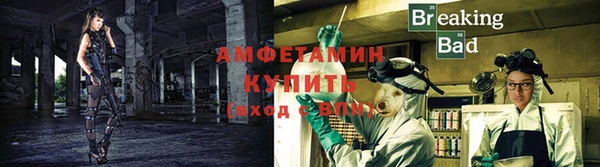 ГАЛЛЮЦИНОГЕННЫЕ ГРИБЫ Вязьма
