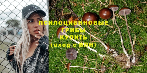 ГАЛЛЮЦИНОГЕННЫЕ ГРИБЫ Вязьма
